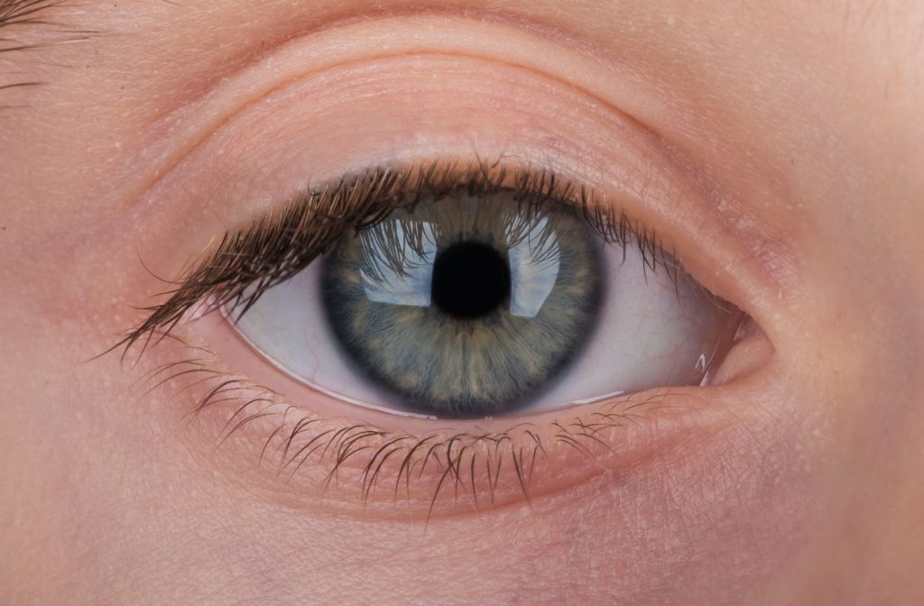 Macro closeup of a clear, healthy eye.